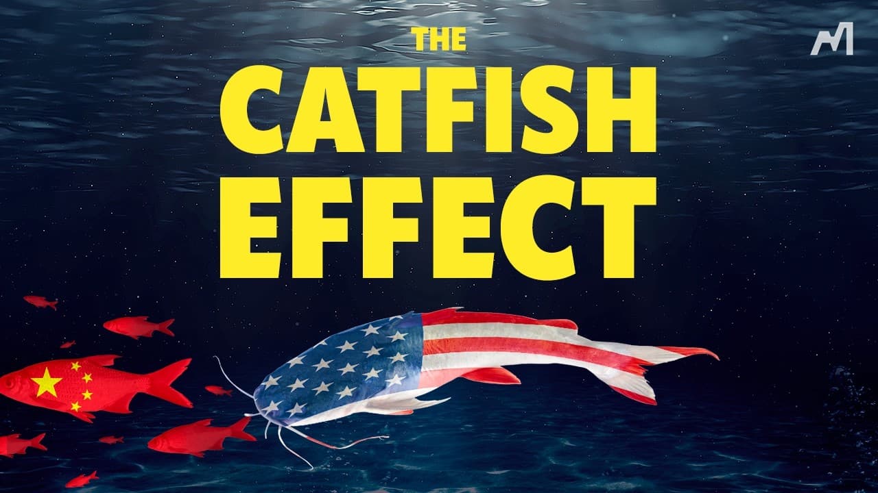 Why Hasn't China Collapsed?